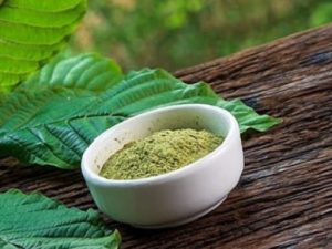 Using Green Thai Kratom as a Natural Energy Booster